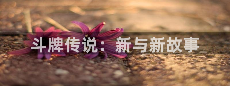 聚合漫画屋网页